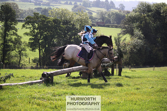 Hurworth Bilsdale Hedge Hop 256