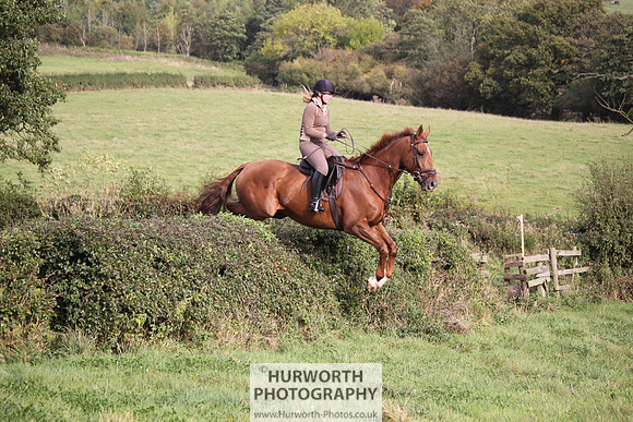Hurworth Bilsdale Hedge Hop 682