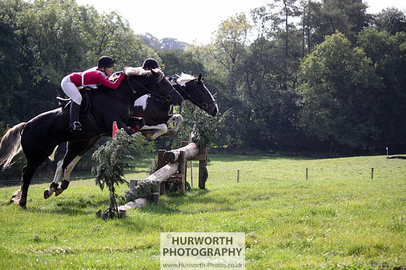 Hurworth Bilsdale Hedge Hop 451