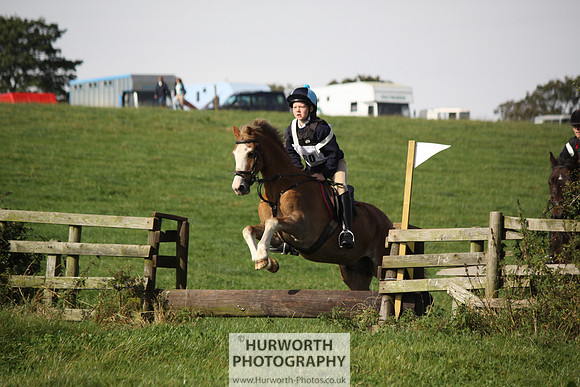 Hurworth Bilsdale Hedge Hop 248