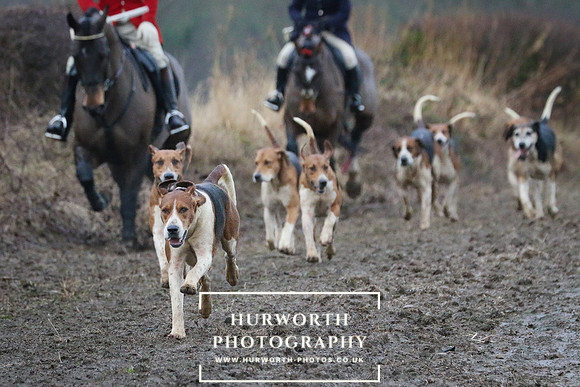 Hurworth Hunt 653
