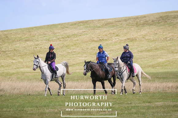 Hurworth Pleasure Ride 230