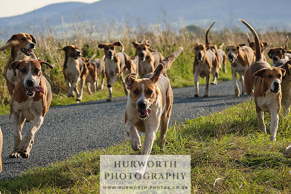 Hurworth Hunt 106