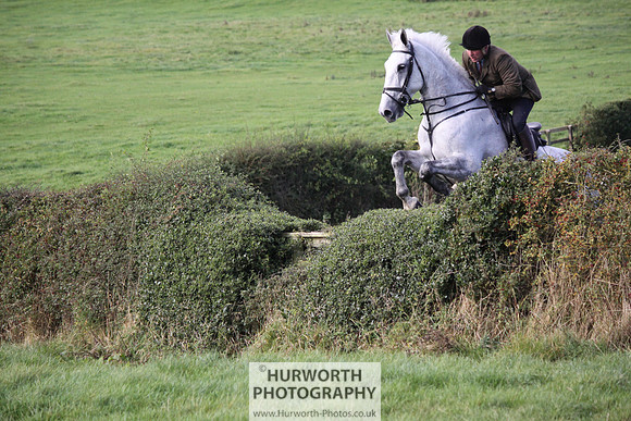 Hurworth Bilsdale Hedge Hop 609