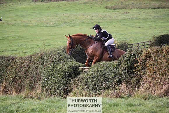 Hurworth Bilsdale Hedge Hop 616