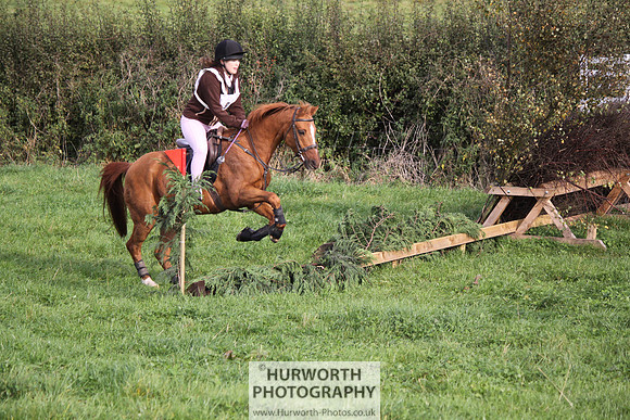Hurworth Bilsdale Hedge Hop 032