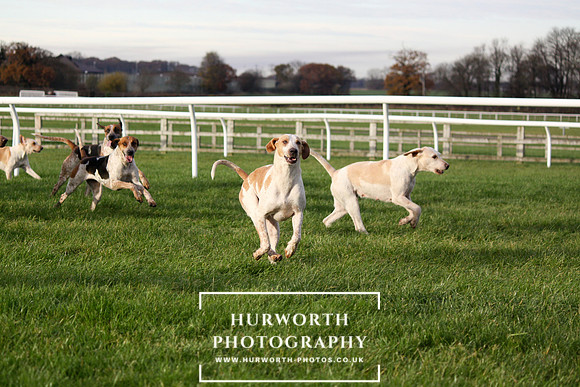 Countryside Raceday 137