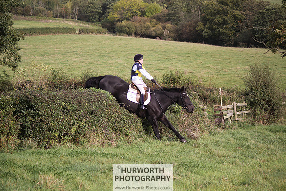 Hurworth Bilsdale Hedge Hop 678