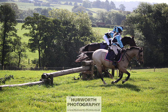 Hurworth Bilsdale Hedge Hop 257