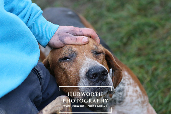 Hurworth Hunt  114