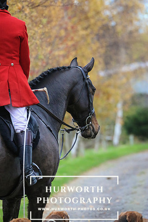 Hurworth Hunt 343