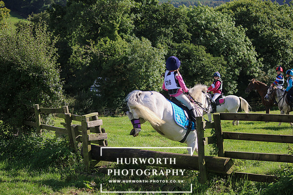 Hurworth Hunt 006