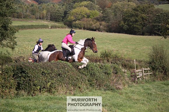 Hurworth Bilsdale Hedge Hop 670