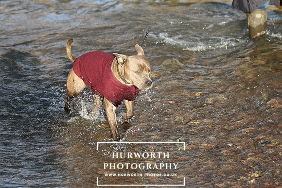 Hurworth Hunt 138