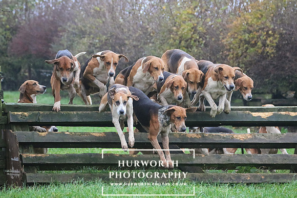 Hurworth Hunt  118