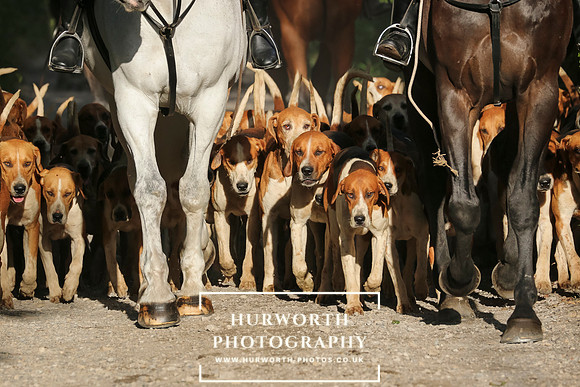 Hurworth Hunt 22