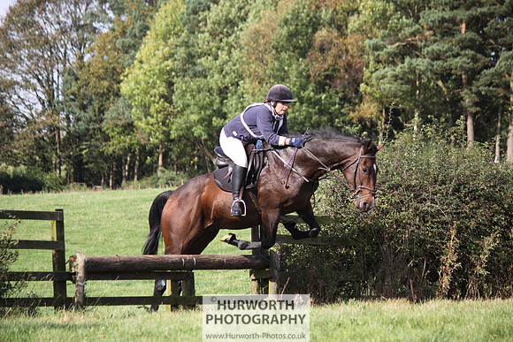Hurworth Bilsdale Hedge Hop 222