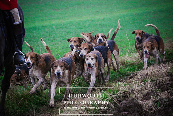 Hurworth Hunt  478