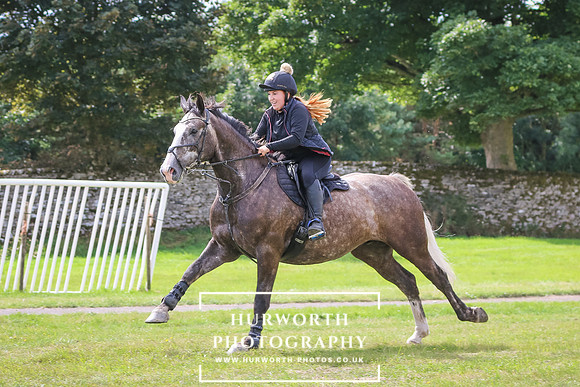 Hurworth Pleasure Ride 335