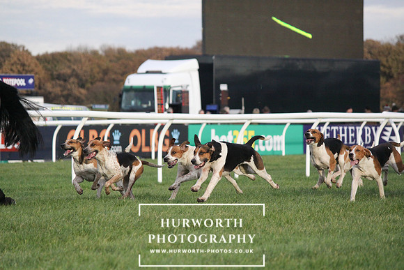 Countryside Raceday 158
