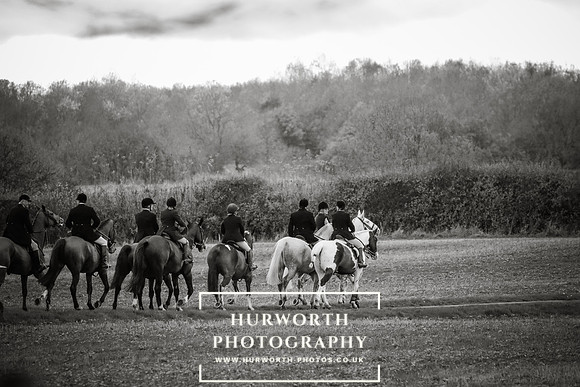 Hurworth Hunt 482