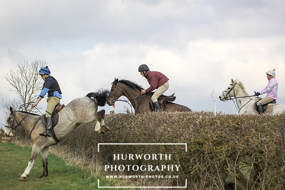 Hurworth Hunt Hedge Hop 027