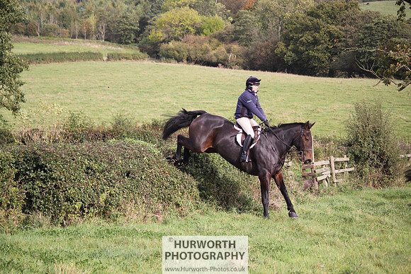 Hurworth Bilsdale Hedge Hop 668
