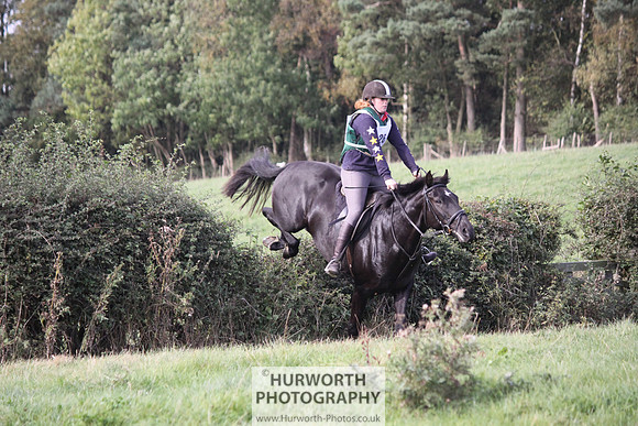 Hurworth Bilsdale Hedge Hop 605
