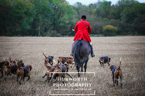 Hurworth Hunt  479