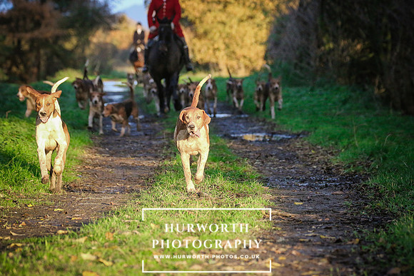 Hurworth Hunt  223