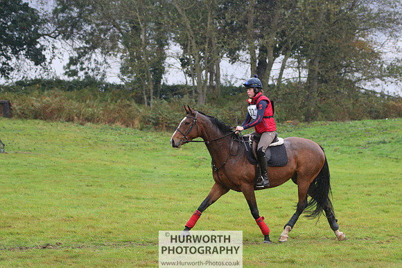 Hurworth Hunter Trial 313