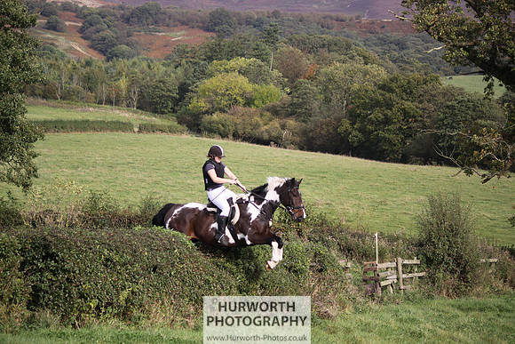 Hurworth Bilsdale Hedge Hop 674