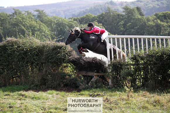 Hurworth Bilsdale Hedge Hop 501