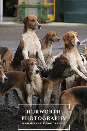 Hurworth Hunt 200
