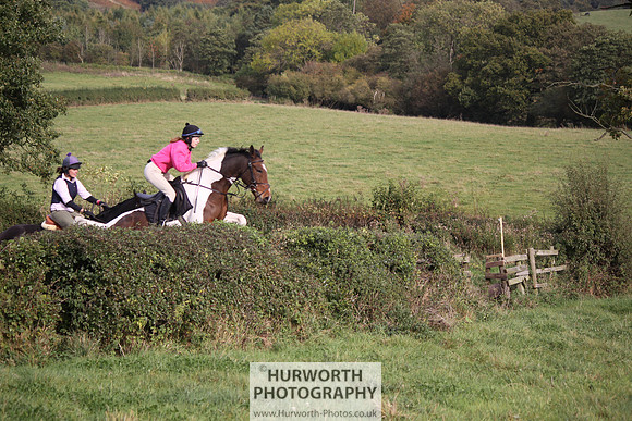 Hurworth Bilsdale Hedge Hop 669