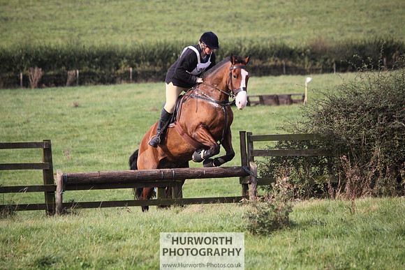 Hurworth Bilsdale Hedge Hop 162