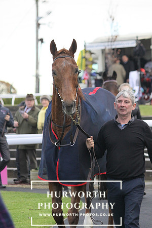 Countryside Raceday 021