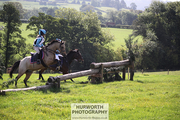 Hurworth Bilsdale Hedge Hop 254