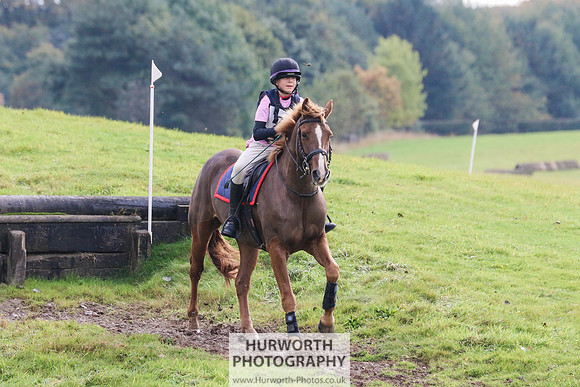 Hurworth Hunter Trial 333