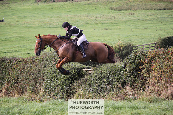 Hurworth Bilsdale Hedge Hop 617