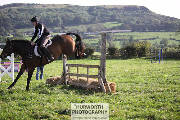 Hurworth Bilsdale Hedge Hop 872