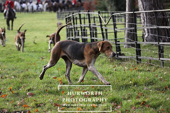 Hurworth Hunt 158