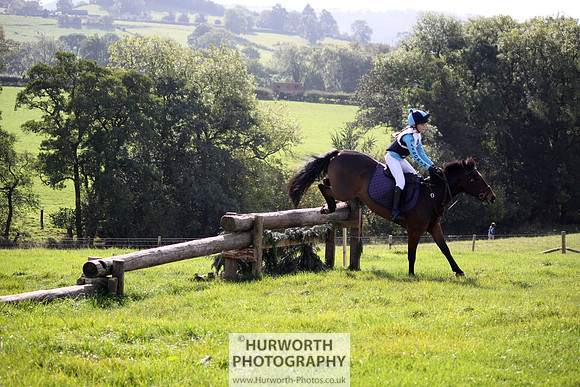 Hurworth Bilsdale Hedge Hop 278