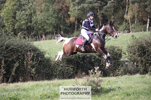 Hurworth Bilsdale Hedge Hop 600