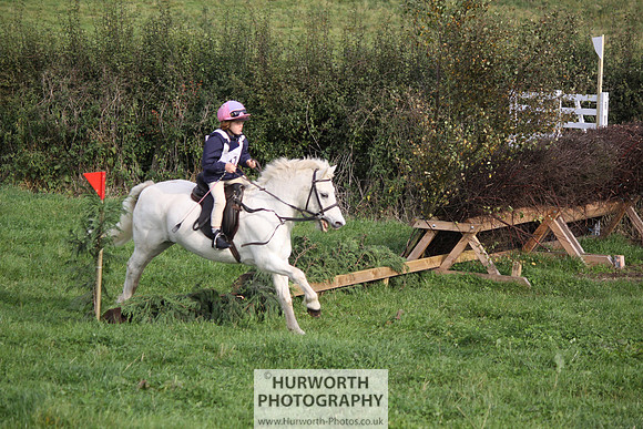 Hurworth Bilsdale Hedge Hop 034