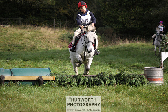 Hurworth Bilsdale Hedge Hop 059
