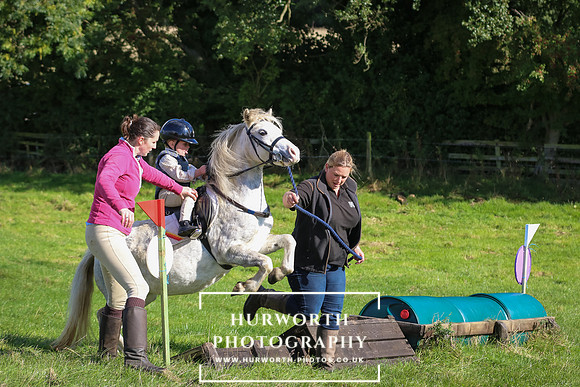 Hurworth Hunt 007