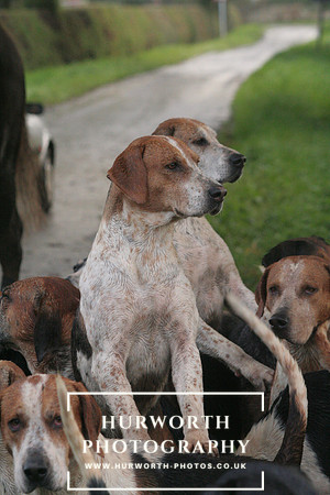 Bilsdale Hunt  054