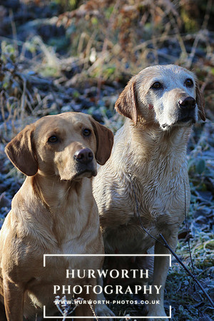 Studley Royal Ladies Shoot 093