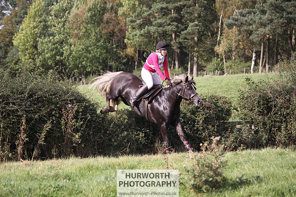 Hurworth Bilsdale Hedge Hop 545